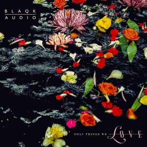 Only Things We Love by Blaqk Audio