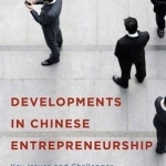 Developments in Chinese Entrepreneurship: Key Issues and Challenges