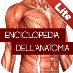 Enciclopedia dell&#039;ANATOMIA - FREE