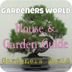 Bonsai Trees: Gardeners World