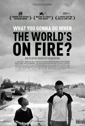 What You Gonna Do When the World&#039;s on Fire? (2018)