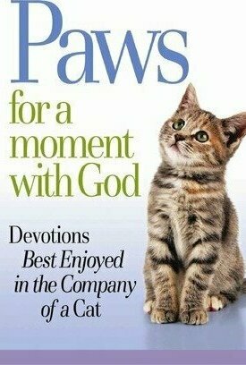 Paws for a Moment with God