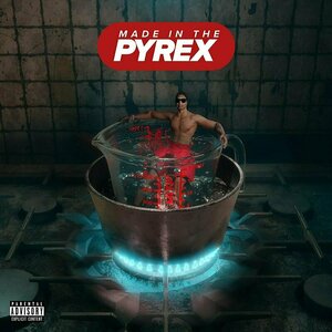 Made in the Pyrex by Digga D