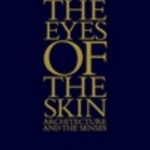 The Eyes of the Skin: Architecture and the Senses