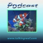 Talkingreef