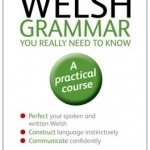 Teach yourself Welsh grammar you really need to know