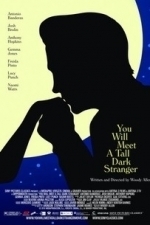 You Will Meet a Tall Dark Stranger (2010)