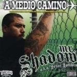 Medio Camino by Mr Shadow