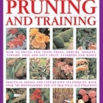 Pruning: Training and Topiary