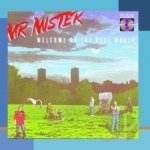 Welcome to the Real World by Mr Mister