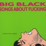 Songs About Fucking by Big Black