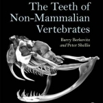The Teeth of Non-Mammalian Vertebrates