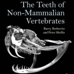 The Teeth of Non-Mammalian Vertebrates