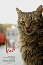 Kedi (2016)