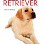 Labrador Retriever: A Complete Guide to Raising, Training and Caring for Your Labrador