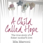 A Child Called Hope: The True Story of a Foster Mother&#039;s Love