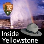 Inside Yellowstone