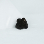 Hiss Spun by Chelsea Wolfe