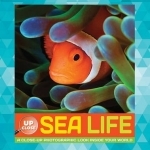 Sea Life: A Close-Up Photographic Look Inside Your World