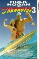 Thunder in Paradise III (1995)