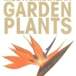Lorraine Cavanagh&#039;s Mediterranean Garden Plants