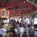 Perfect Day by Waste Of Aces