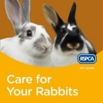 RSPCA Pet Guide: Care for Your Rabbits
