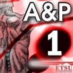 Anatomy & Physiology I