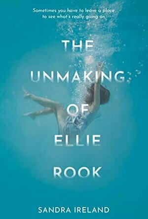 The Unmaking of Ellie Rook