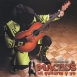 Mi Guitarra y Yo by Banda Machos