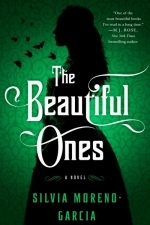 The Beautiful Ones: A Novel