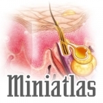 Miniatlas Dermatology