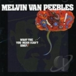 What The... You Mean I Can&#039;t Sing? by Melvin Van Peebles