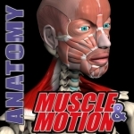 Muscle and Motion Anatomy