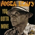 You Gotta Move by Hosea Leavy