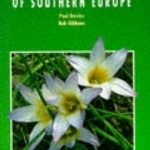 Field Guide to Wild Flowers of Southern Europe