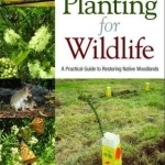 Planting for Wildlife: A Practical Guide to Restoring Native Woodlands