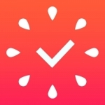 Focus To-Do: The Best Focus Timer for Work & Study
