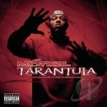 Tarantula by Mystikal