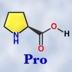 Amino Acids: Quiz & Flashcards