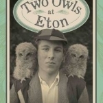 Two Owls at Eton