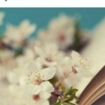 Journees De Lecture