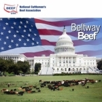 Beltway Beef