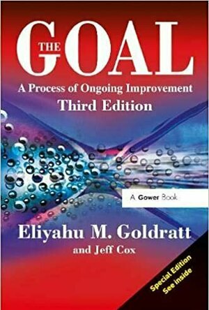 The Goal: A Process of Ongoing Improvements