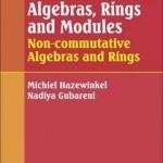 Algebras, Rings and Modules: Non-Commutative Algebras and Rings: Volume 2