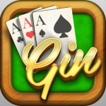 Gin Rummy ++