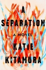 A Separation: A Novel