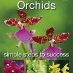 Orchids