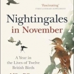 Nightingales in November: A Year in the Lives of Twelve British Birds