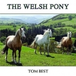 The History of the Welsh Pony